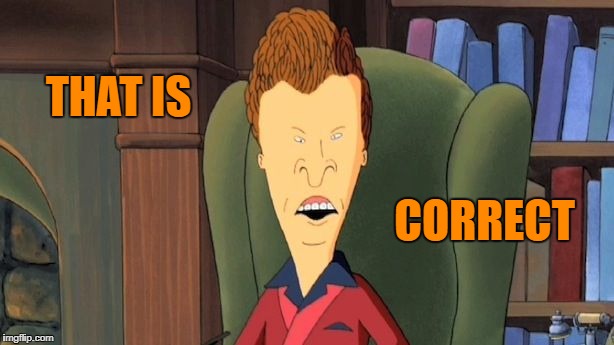 butthead | THAT IS CORRECT | image tagged in butthead | made w/ Imgflip meme maker