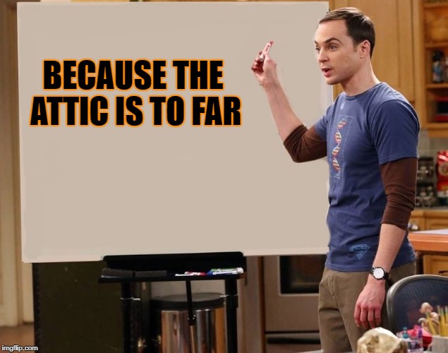 sheldon | BECAUSE THE ATTIC IS TO FAR | image tagged in sheldon | made w/ Imgflip meme maker