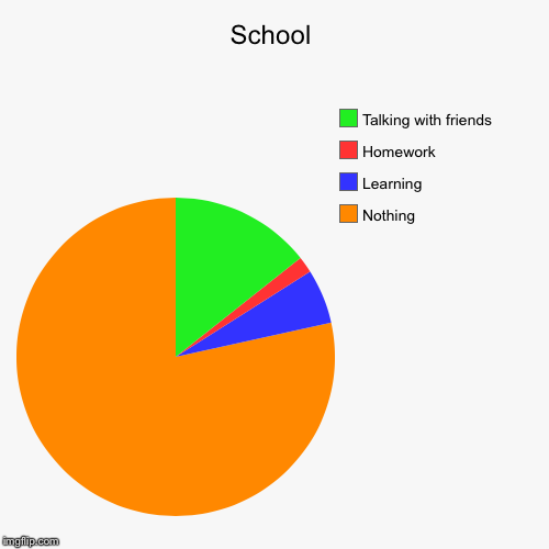 School | Nothing, Learning, Homework, Talking with friends | image tagged in funny,pie charts | made w/ Imgflip chart maker