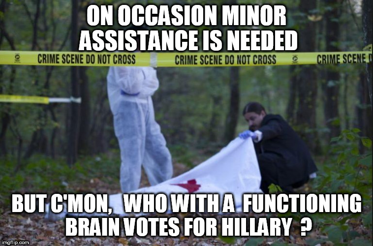 ON OCCASION MINOR ASSISTANCE IS NEEDED BUT C'MON,   WHO WITH A  FUNCTIONING BRAIN VOTES FOR HILLARY  ? | made w/ Imgflip meme maker