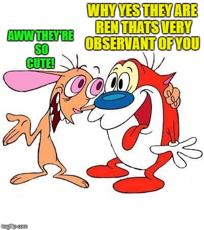 ren and stimpy | AWW THEY'RE SO CUTE! WHY YES THEY ARE REN THATS VERY OBSERVANT OF YOU | image tagged in ren and stimpy | made w/ Imgflip meme maker