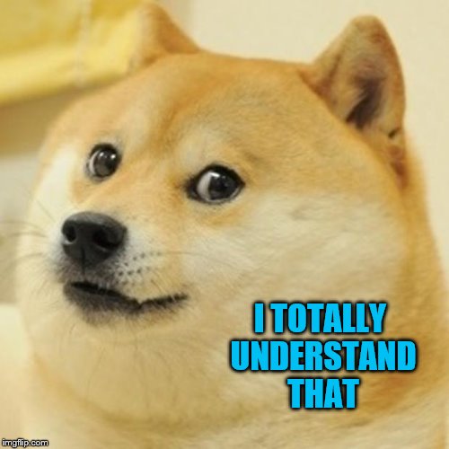 Doge Meme | I TOTALLY UNDERSTAND THAT | image tagged in memes,doge | made w/ Imgflip meme maker