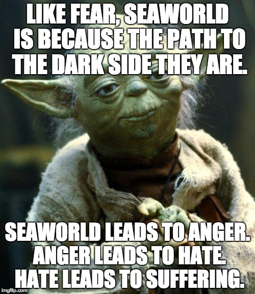 Yoda Condemns SeaWorld | LIKE FEAR, SEAWORLD IS BECAUSE THE PATH TO THE DARK SIDE THEY ARE. SEAWORLD LEADS TO ANGER. ANGER LEADS TO HATE. HATE LEADS TO SUFFERING. | image tagged in memes,star wars yoda,fear anger hate suffering,the path to the dark side,seaworld,tilikum | made w/ Imgflip meme maker