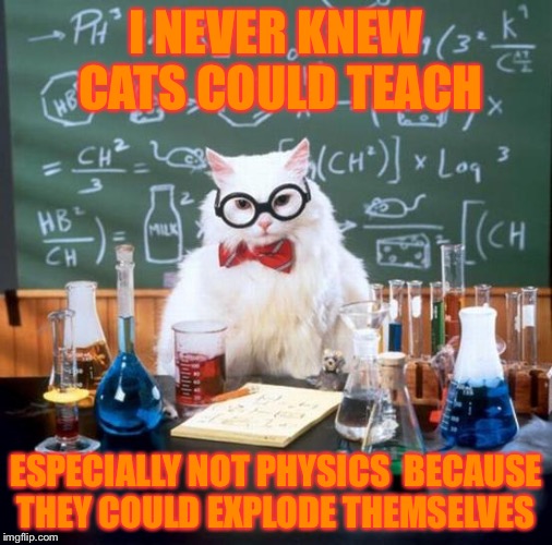 Chemistry Cat | I NEVER KNEW CATS COULD TEACH; ESPECIALLY NOT PHYSICS 
BECAUSE THEY COULD EXPLODE THEMSELVES | image tagged in memes,chemistry cat | made w/ Imgflip meme maker
