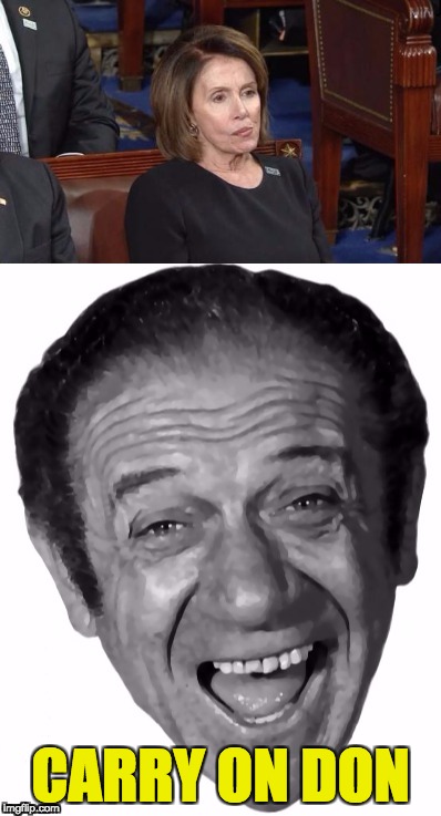 pelosi | CARRY ON DON | image tagged in pelosi | made w/ Imgflip meme maker