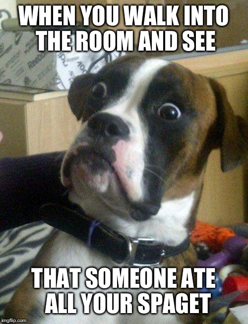 They ate me spaget.

I wil get revnge. | WHEN YOU WALK INTO THE ROOM AND SEE; THAT SOMEONE ATE  ALL YOUR SPAGET | image tagged in blankie the shocked dog | made w/ Imgflip meme maker