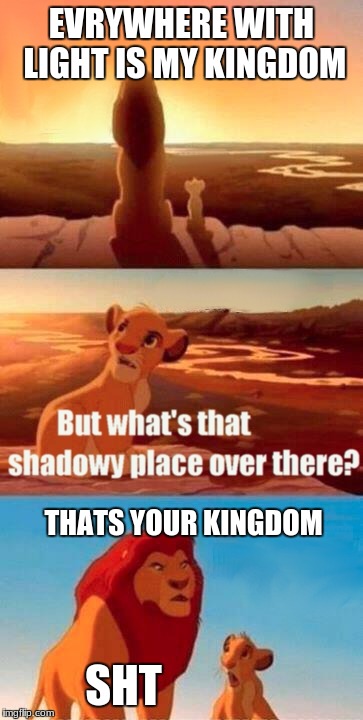 Simba Shadowy Place Meme | EVRYWHERE WITH LIGHT IS MY KINGDOM; THATS YOUR KINGDOM; SHT | image tagged in memes,simba shadowy place | made w/ Imgflip meme maker