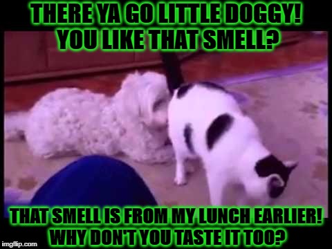 THERE YA GO LITTLE DOGGY! YOU LIKE THAT SMELL? THAT SMELL IS FROM MY LUNCH EARLIER! WHY DON'T YOU TASTE IT TOO? | image tagged in butt sniffer | made w/ Imgflip meme maker