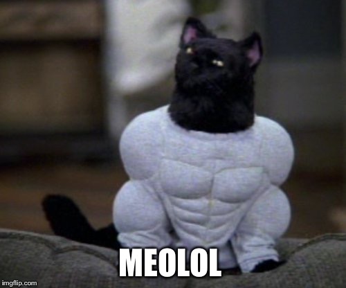 MEOLOL | made w/ Imgflip meme maker