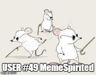 Blind mice | USER #49 MemeSpirited | image tagged in blind mice | made w/ Imgflip meme maker