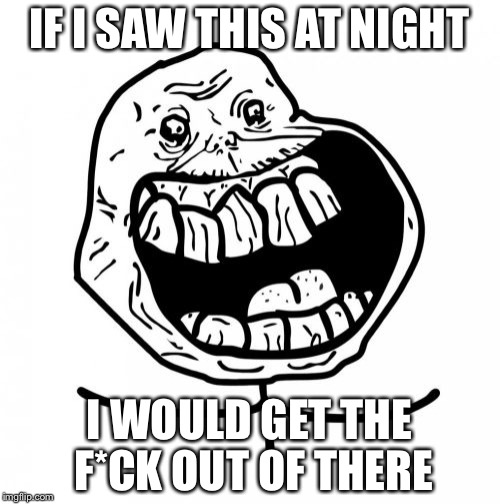 Forever Alone Happy Meme | IF I SAW THIS AT NIGHT; I WOULD GET THE F*CK OUT OF THERE | image tagged in memes,forever alone happy | made w/ Imgflip meme maker