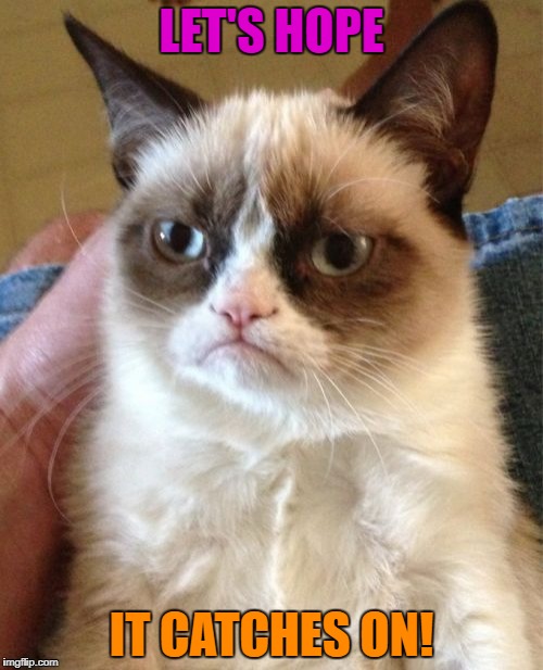 Grumpy Cat Meme | LET'S HOPE IT CATCHES ON! | image tagged in memes,grumpy cat | made w/ Imgflip meme maker