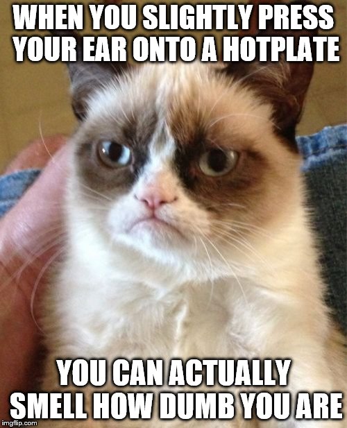 Grumpy Cat Meme | WHEN YOU SLIGHTLY PRESS YOUR EAR ONTO A HOTPLATE; YOU CAN ACTUALLY SMELL HOW DUMB YOU ARE | image tagged in memes,grumpy cat | made w/ Imgflip meme maker
