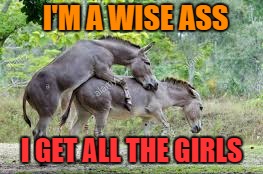 I'M A WISE ASS I GET ALL THE GIRLS | made w/ Imgflip meme maker