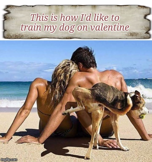 This is how I'd like to train my dog on valentine | image tagged in valentine | made w/ Imgflip meme maker