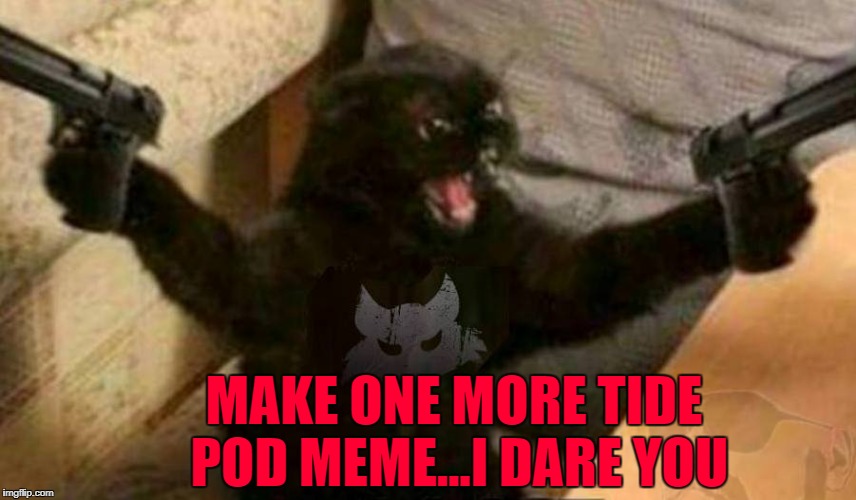 Even an anti tide pod meme is still a tide pod meme... | MAKE ONE MORE TIDE POD MEME...I DARE YOU | image tagged in cat with guns,memes,tide pods,funny,getting old,irony | made w/ Imgflip meme maker