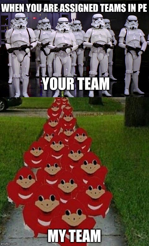 Strength or knoeing da wae? | WHEN YOU ARE ASSIGNED TEAMS IN PE; YOUR TEAM; MY TEAM | image tagged in ugandan knuckles,stormtroopers | made w/ Imgflip meme maker