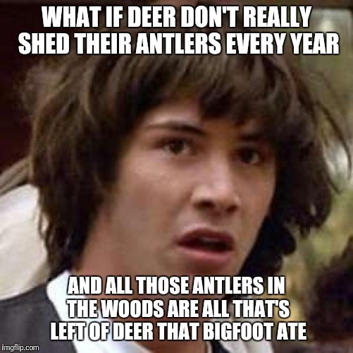 Conspiracy Keanu | WHAT IF DEER DON'T REALLY SHED THEIR ANTLERS EVERY YEAR; AND ALL THOSE ANTLERS IN THE WOODS ARE ALL THAT'S LEFT OF DEER THAT BIGFOOT ATE | image tagged in memes,conspiracy keanu | made w/ Imgflip meme maker