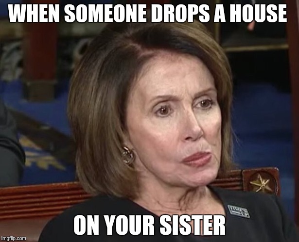 WHEN SOMEONE DROPS A HOUSE; ON YOUR SISTER | image tagged in nannan | made w/ Imgflip meme maker