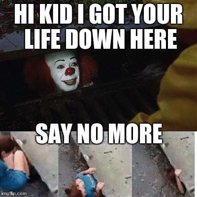 pennywise in sewer | HI KID I GOT YOUR LIFE DOWN HERE; SAY NO MORE | image tagged in pennywise in sewer | made w/ Imgflip meme maker