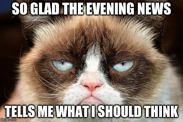 Grumpy Cat Not Amused | SO GLAD THE EVENING NEWS; TELLS ME WHAT I SHOULD THINK | image tagged in memes,grumpy cat not amused,grumpy cat | made w/ Imgflip meme maker