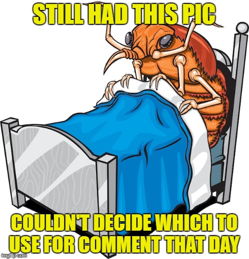STILL HAD THIS PIC COULDN'T DECIDE WHICH TO USE FOR COMMENT THAT DAY | made w/ Imgflip meme maker
