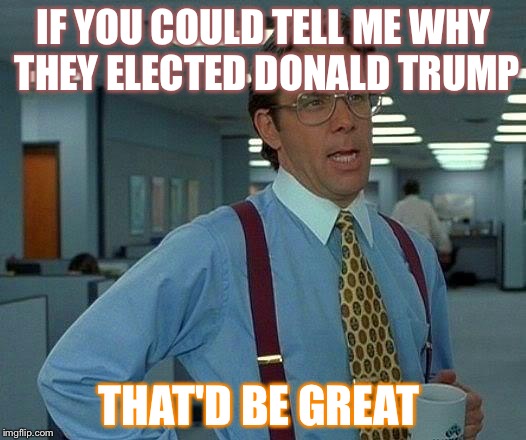 That Would Be Great Meme | IF YOU COULD TELL ME WHY THEY ELECTED DONALD TRUMP; THAT'D BE GREAT | image tagged in memes,that would be great | made w/ Imgflip meme maker