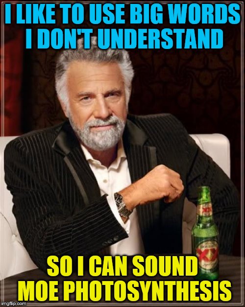 The Most Interesting Man In The World Meme | I LIKE TO USE BIG WORDS I DON'T UNDERSTAND; SO I CAN SOUND MOE PHOTOSYNTHESIS | image tagged in memes,the most interesting man in the world | made w/ Imgflip meme maker