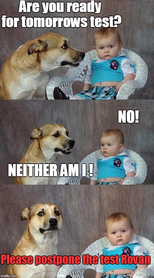Dad Joke Dog Meme | Are you ready for tomorrows test? NO! NEITHER AM I ! Please postpone the test Rovan | image tagged in memes,dad joke dog | made w/ Imgflip meme maker