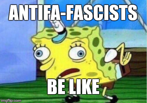 Mocking Spongebob Meme | ANTIFA-FASCISTS BE LIKE | image tagged in memes,mocking spongebob | made w/ Imgflip meme maker