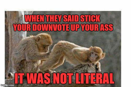 not literal | WHEN THEY SAID STICK YOUR DOWNVOTE UP YOUR ASS; IT WAS NOT LITERAL | image tagged in ass | made w/ Imgflip meme maker