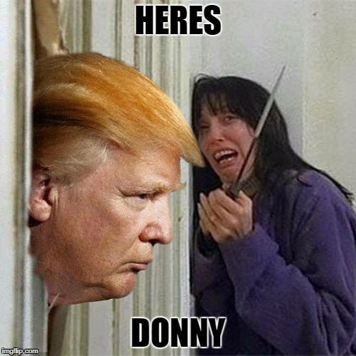 Donald trump here's Donny | HERES; DONNY | image tagged in donald trump here's donny | made w/ Imgflip meme maker