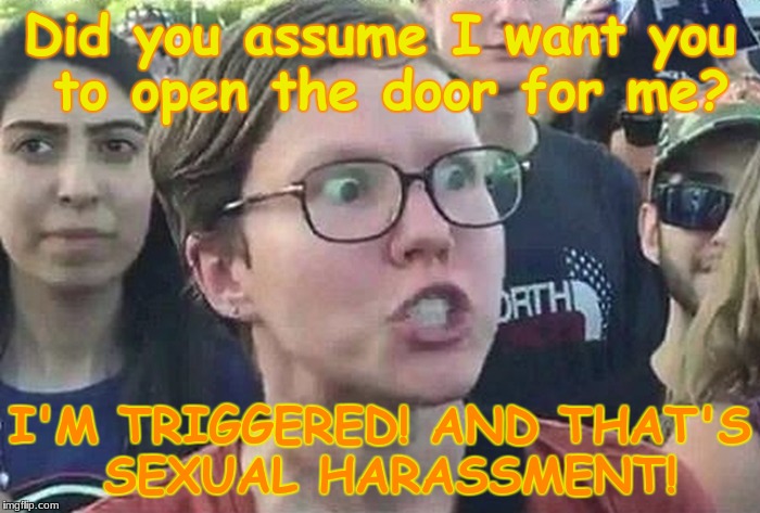 When you open the door for a feminist | Did you assume I want you to open the door for me? I'M TRIGGERED! AND THAT'S SEXUAL HARASSMENT! | image tagged in triggered liberal,triggered feminist,triggered,memes,feminist,angry feminist | made w/ Imgflip meme maker