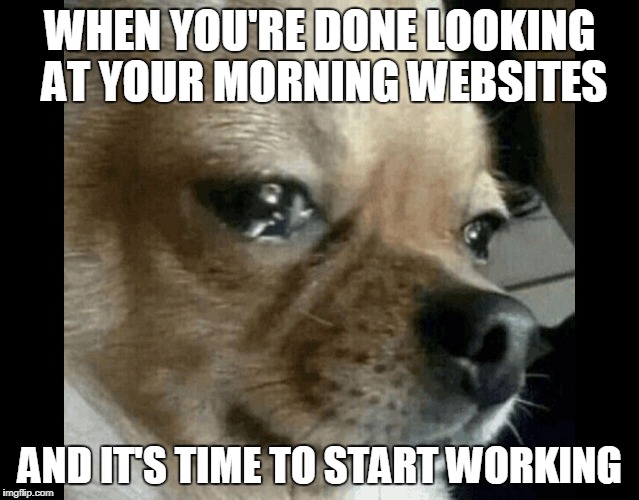 dog crying | WHEN YOU'RE DONE LOOKING AT YOUR MORNING WEBSITES; AND IT'S TIME TO START WORKING | image tagged in dog crying | made w/ Imgflip meme maker