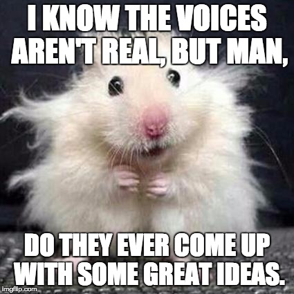 Stressed Mouse | I KNOW THE VOICES AREN'T REAL, BUT MAN, DO THEY EVER COME UP WITH SOME GREAT IDEAS. | image tagged in stressed mouse | made w/ Imgflip meme maker