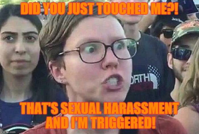 When you touch a feminist by accident  | DID YOU JUST TOUCHED ME?! THAT'S SEXUAL HARASSMENT AND I'M TRIGGERED! | image tagged in memes,triggered feminist,angry feminist,feminist,feminazi | made w/ Imgflip meme maker