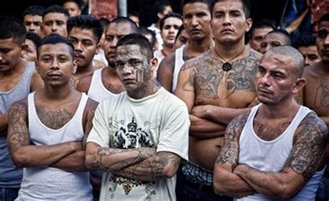 MS13 Family Pic Blank Meme Template