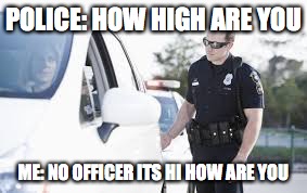 police | POLICE: HOW HIGH ARE YOU; ME: NO OFFICER ITS HI HOW ARE YOU | image tagged in high | made w/ Imgflip meme maker