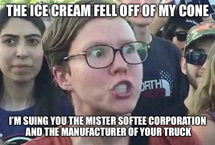 Triggered Liberal | THE ICE CREAM FELL OFF OF MY CONE; I’M SUING YOU THE MISTER SOFTEE CORPORATION AND THE MANUFACTURER OF YOUR TRUCK | image tagged in triggered liberal,memes,funny | made w/ Imgflip meme maker