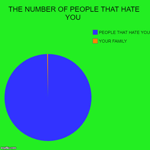 THE NUMBER OF PEOPLE THAT HATE YOU  | YOUR FAMILY , PEOPLE THAT HATE YOU | image tagged in funny,pie charts | made w/ Imgflip chart maker