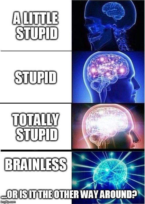 Expanding Brain | A LITTLE STUPID; STUPID; TOTALLY STUPID; BRAINLESS; ...OR IS IT THE OTHER WAY AROUND? | image tagged in memes,expanding brain | made w/ Imgflip meme maker