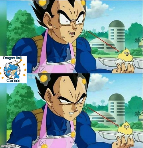 vegeta finally found a suitable pet | image tagged in dragon ball super | made w/ Imgflip meme maker