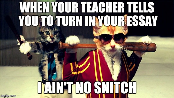 Gangster Cats | WHEN YOUR TEACHER TELLS YOU TO TURN IN YOUR ESSAY; I AIN'T NO SNITCH | image tagged in gangster cats | made w/ Imgflip meme maker