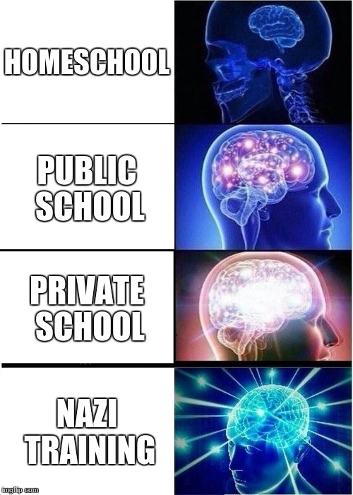 higher education | HOMESCHOOL; PUBLIC SCHOOL; PRIVATE SCHOOL; NAZI TRAINING | image tagged in memes,expanding brain | made w/ Imgflip meme maker