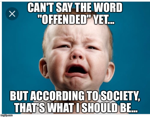 offended-memes-gifs-imgflip