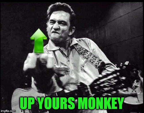 UP YOURS MONKEY | made w/ Imgflip meme maker