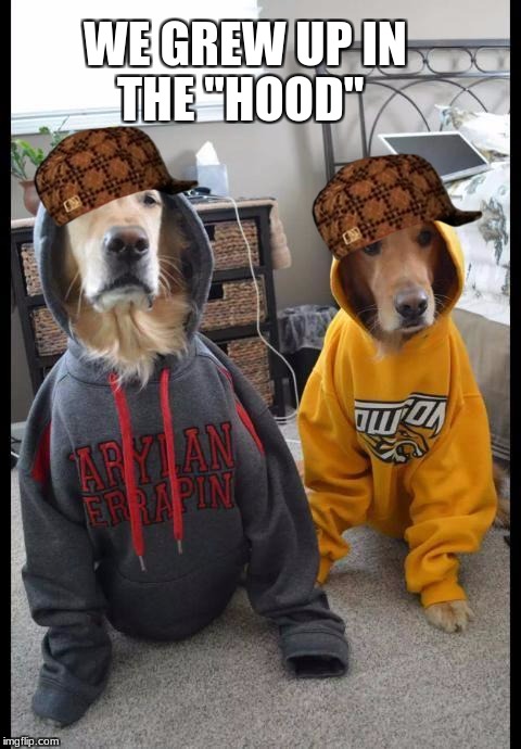 Dog thug pun | WE GREW UP IN THE "HOOD" | image tagged in thug dogs,in the hood | made w/ Imgflip meme maker