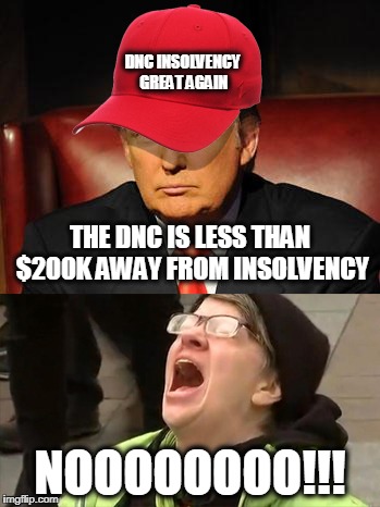 Tormentor in Chief | DNC INSOLVENCY GREAT AGAIN; THE DNC IS LESS THAN $200K AWAY FROM INSOLVENCY; NOOOOOOOO!!! | image tagged in trump hat no | made w/ Imgflip meme maker