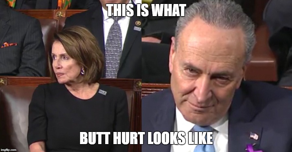 pelosi | THIS IS WHAT; BUTT HURT LOOKS LIKE | image tagged in butthurt liberals | made w/ Imgflip meme maker