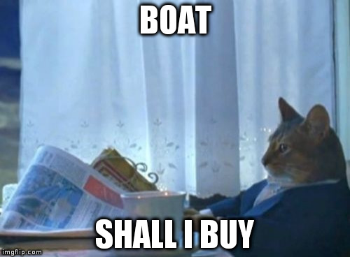 I Should Buy A Boat Cat | BOAT; SHALL I BUY | image tagged in memes,i should buy a boat cat | made w/ Imgflip meme maker